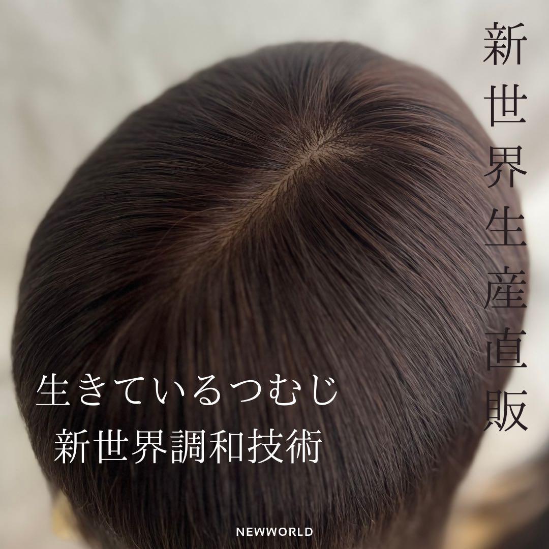 真2025新世界レミー100%ウィッグ　フルウィッグ　シルクスキン　医療ウィッグ