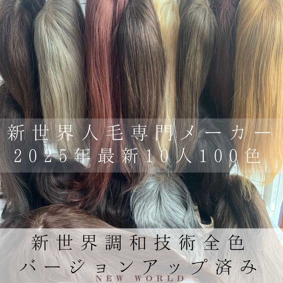 真2025新世界レミー100%ウィッグ　フルウィッグ　シルクスキン　医療ウィッグ