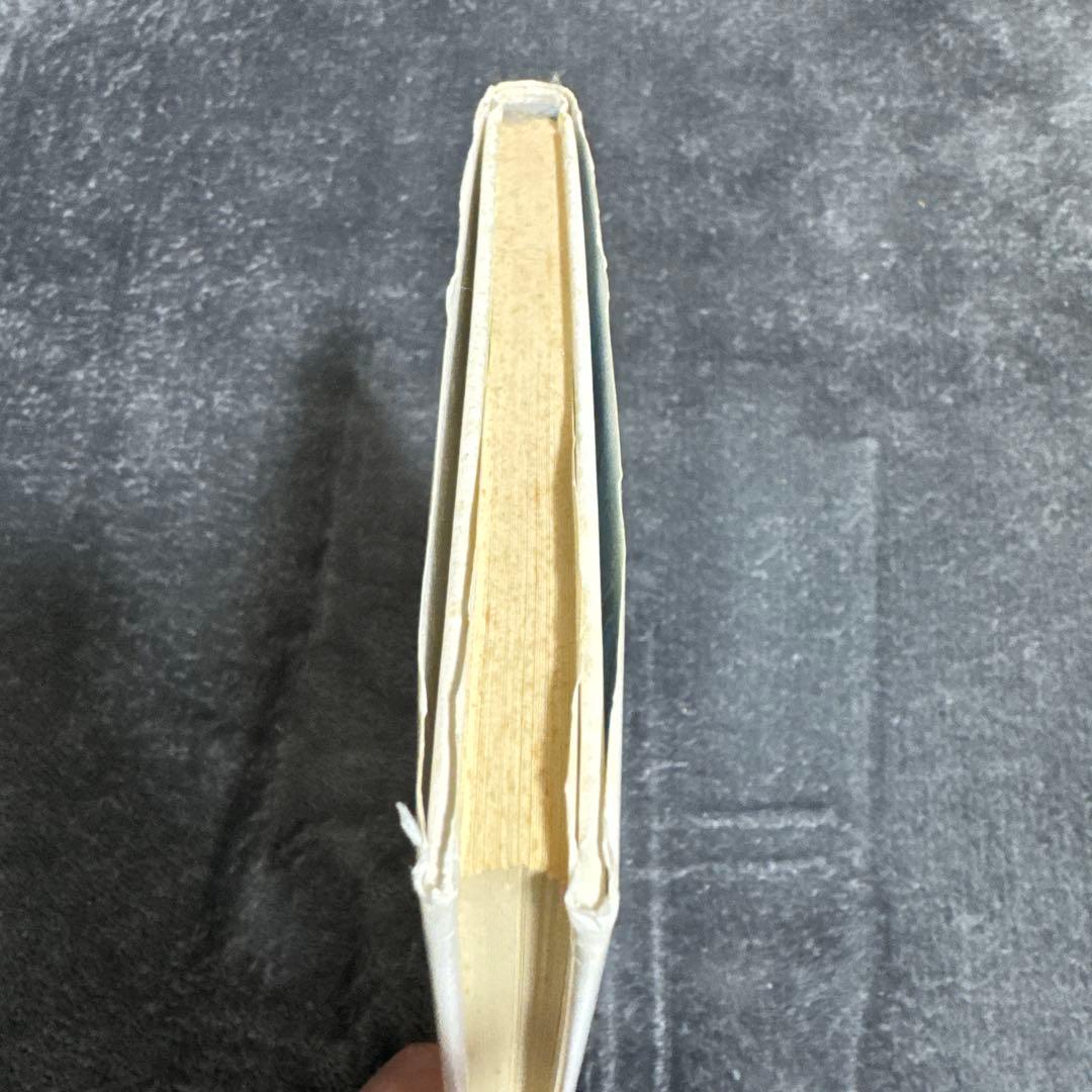 バスフィッシング革命　バスプロという超人たち