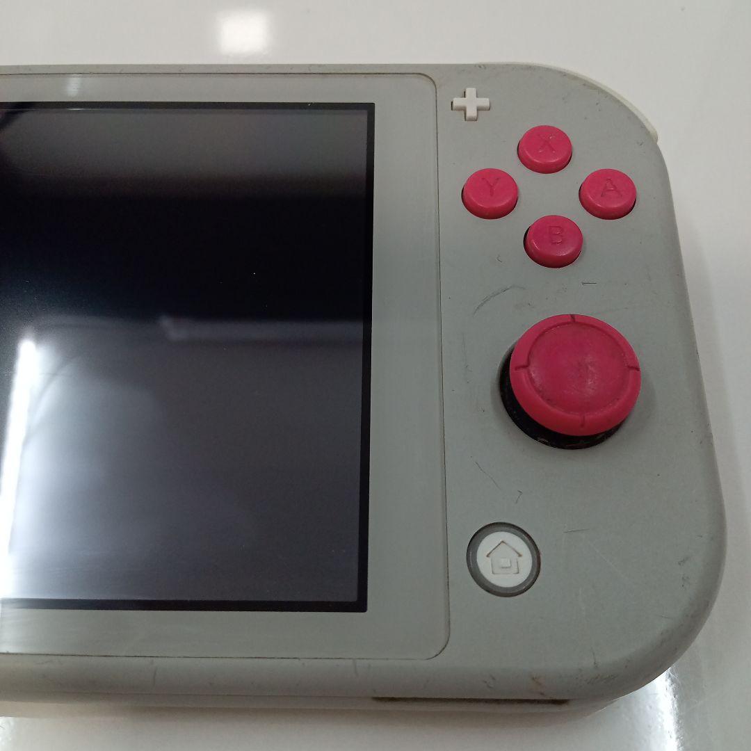Nintendo Switch Lite 本体 ポケモン グレー 2台 ジャンク