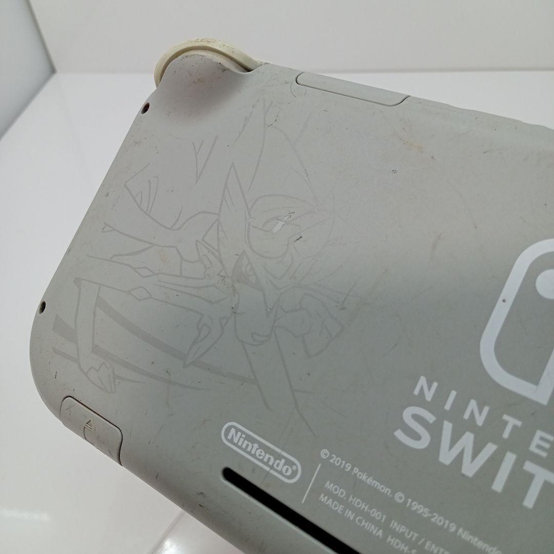 Nintendo Switch Lite 本体 ポケモン グレー 2台 ジャンク