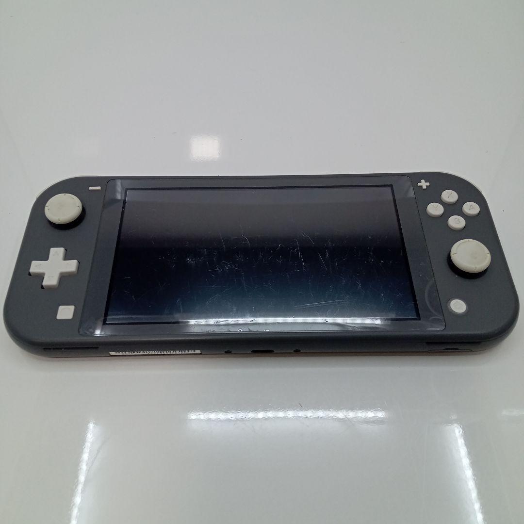 Nintendo Switch Lite 本体 ポケモン グレー 2台 ジャンク
