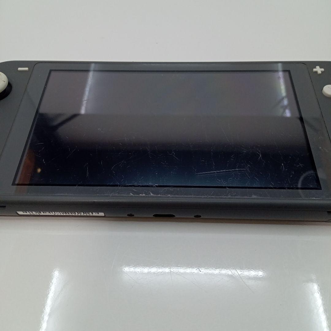 Nintendo Switch Lite 本体 ポケモン グレー 2台 ジャンク