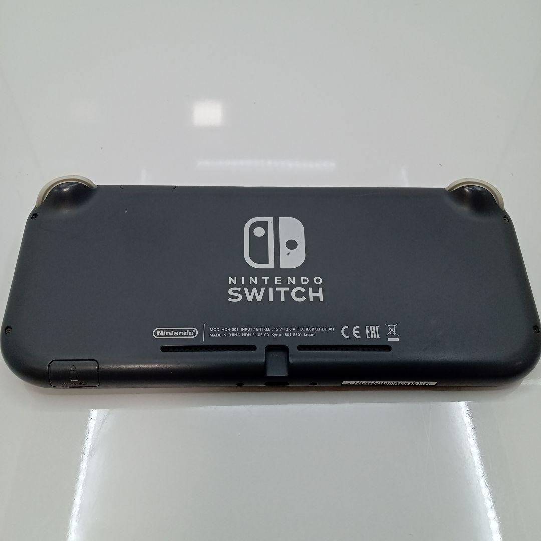 Nintendo Switch Lite 本体 ポケモン グレー 2台 ジャンク