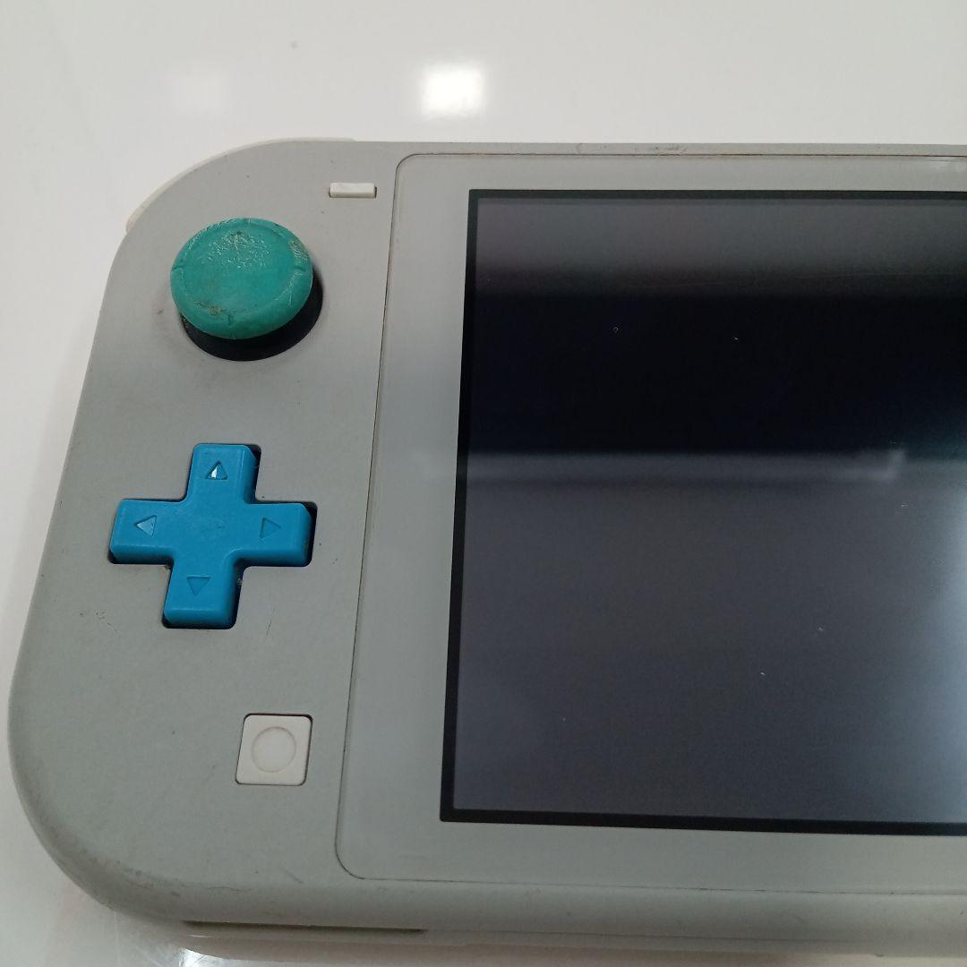 Nintendo Switch Lite 本体 ポケモン グレー 2台 ジャンク