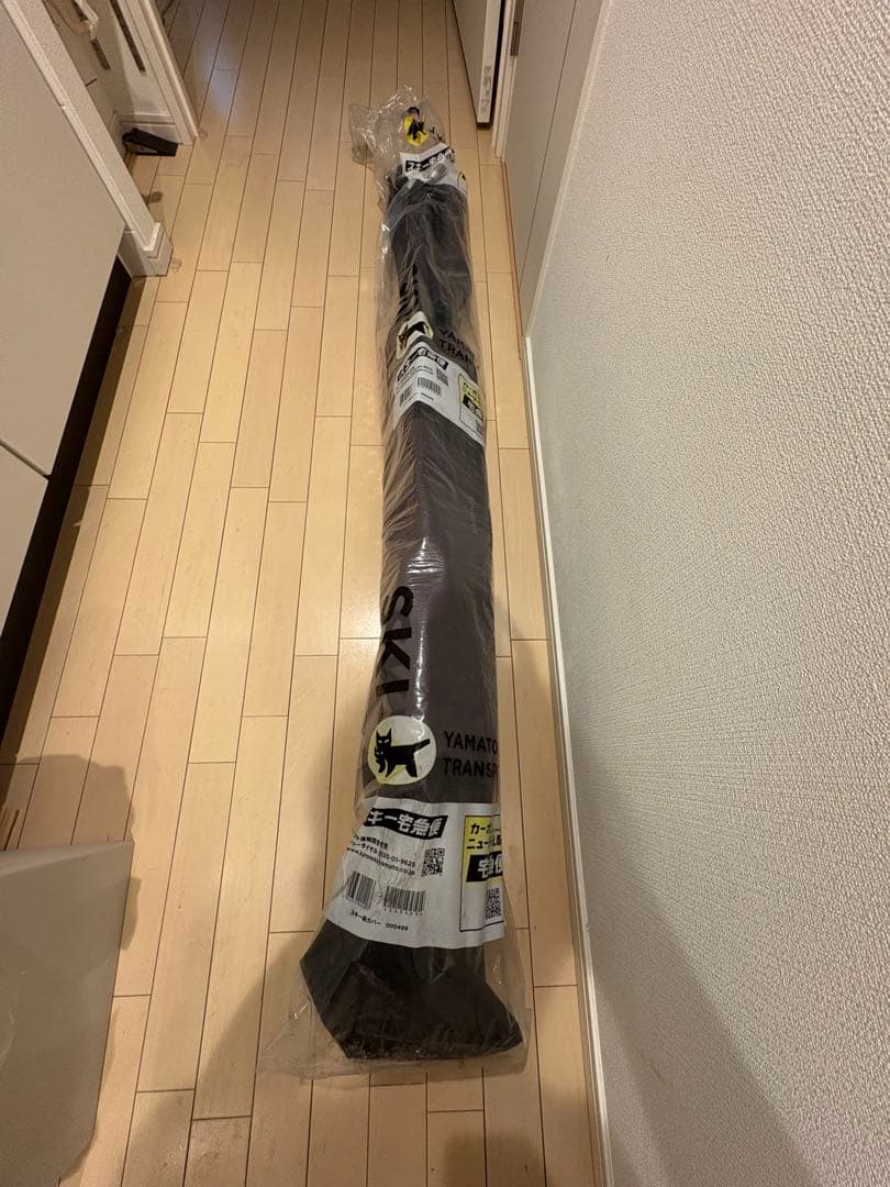 スキー ATOMIC REDSTER S9 166cm