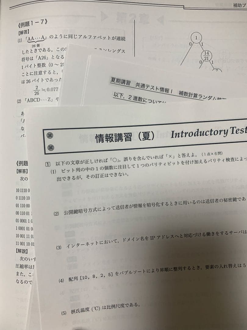 鉄緑会 2024 高3 夏期講習 共テ情報1 テキスト 冊子 プリント