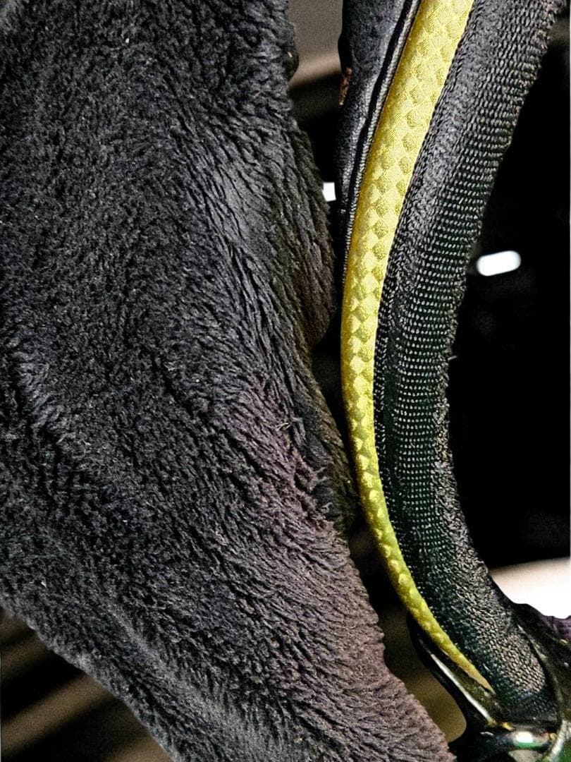 ほげた美品特別仕様Titleist Mercedes-Benz 超高級BK