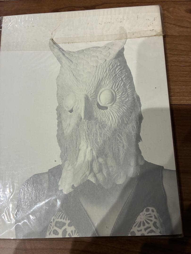 中島美嘉　中島美嘉のCDやDVD等 コレクション　桜色舞うころ レコード