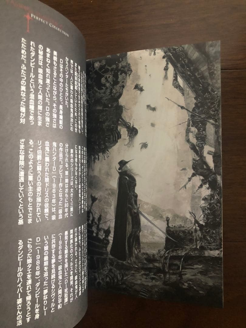 美品　バンパイアハンターD Perfect Collection〈初回限定生産
