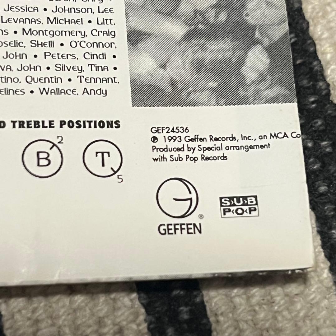 NIRVANA ニルヴァーナ アナログ LP レコード IN UTERO