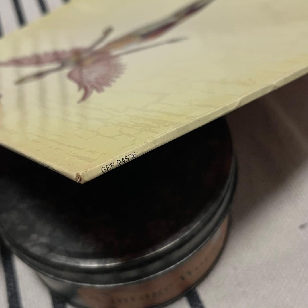 NIRVANA ニルヴァーナ アナログ LP レコード IN UTERO