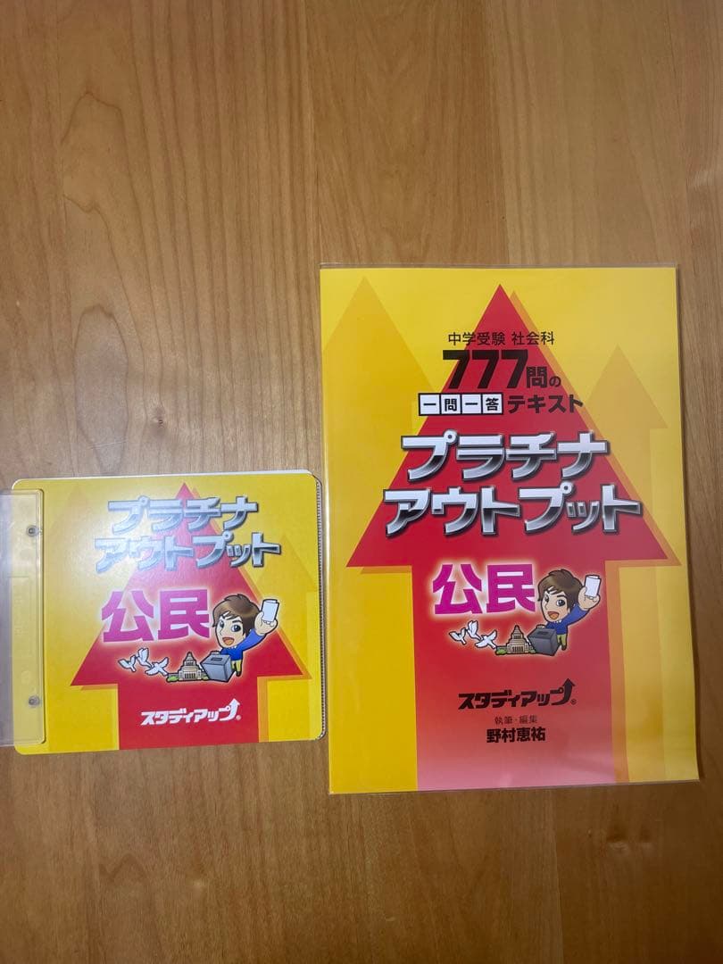 【未使用2023/2024】プラチナアウトプット 公民