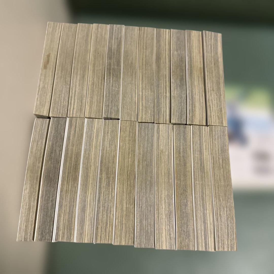 優駿の門　文庫版　チャンプ ピエタ　アスミ