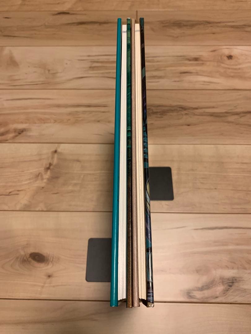 ★Chroniqueslliques/Chaos moebiusメビウス