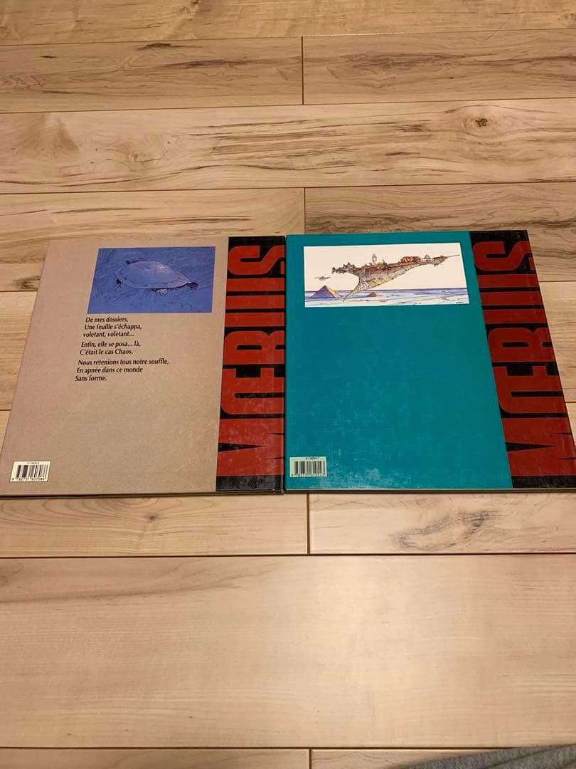 ★Chroniqueslliques/Chaos moebiusメビウス