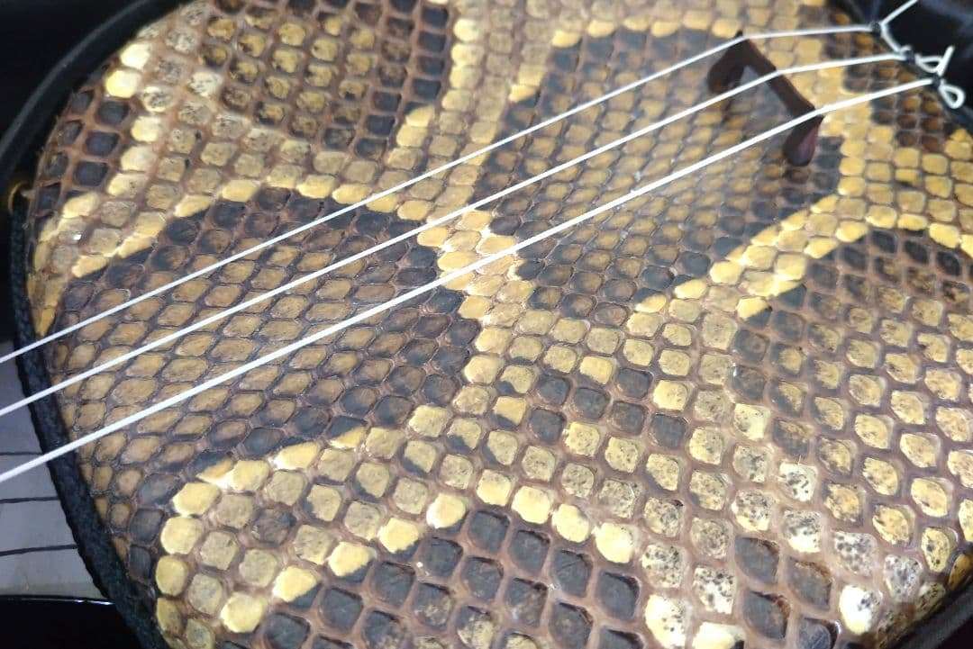 沖縄三線セット 本蛇皮強化張り 三線職人「米須睦」監修