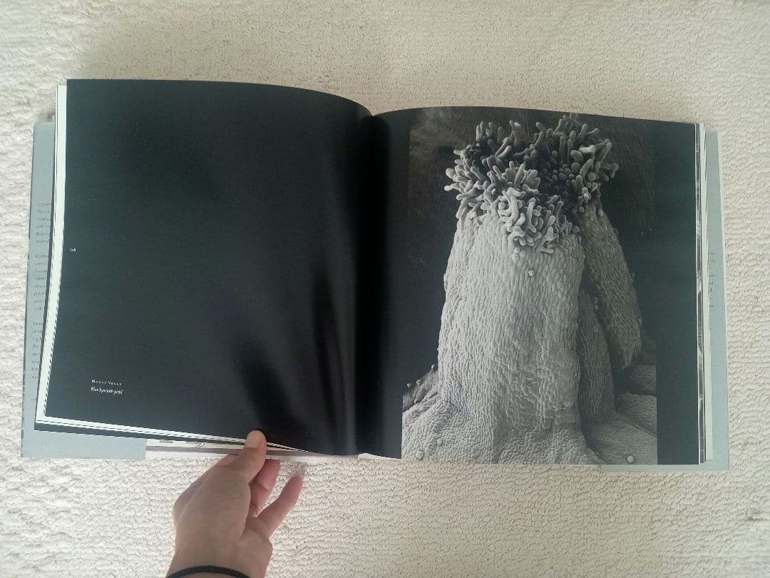 写真集 Hidden Beauty Microworlds Revealed