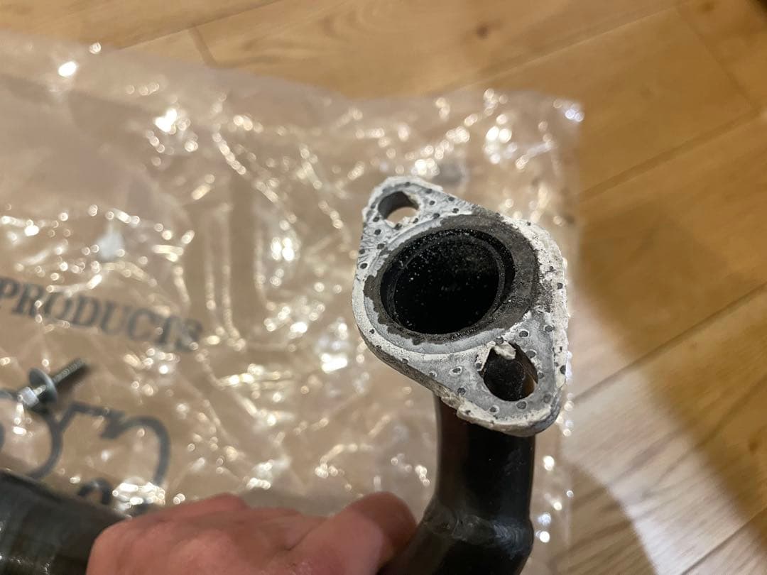 カメレオンファクトリーパラライザー3