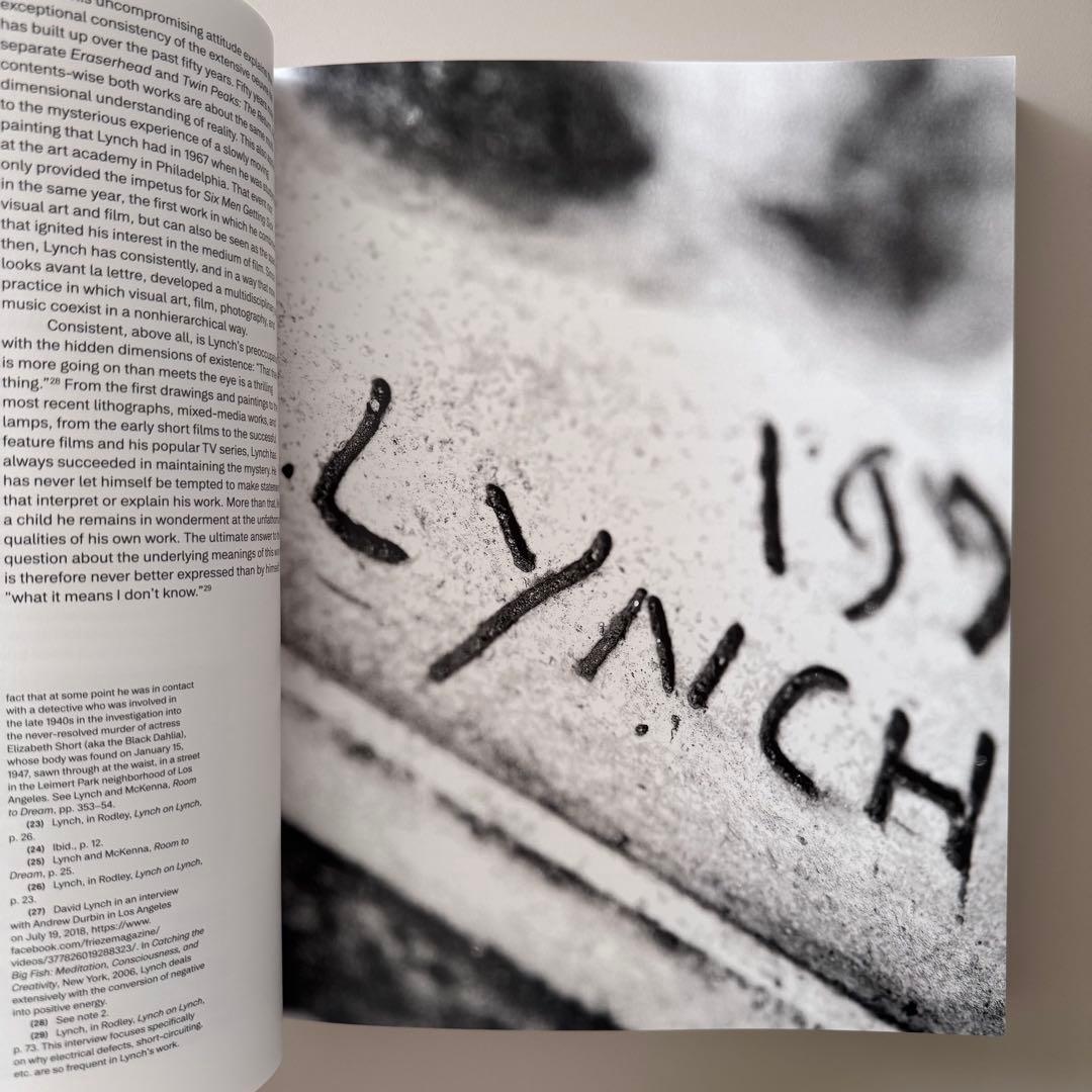 アート・デザイン・音楽 David Lynch Someone is in my House