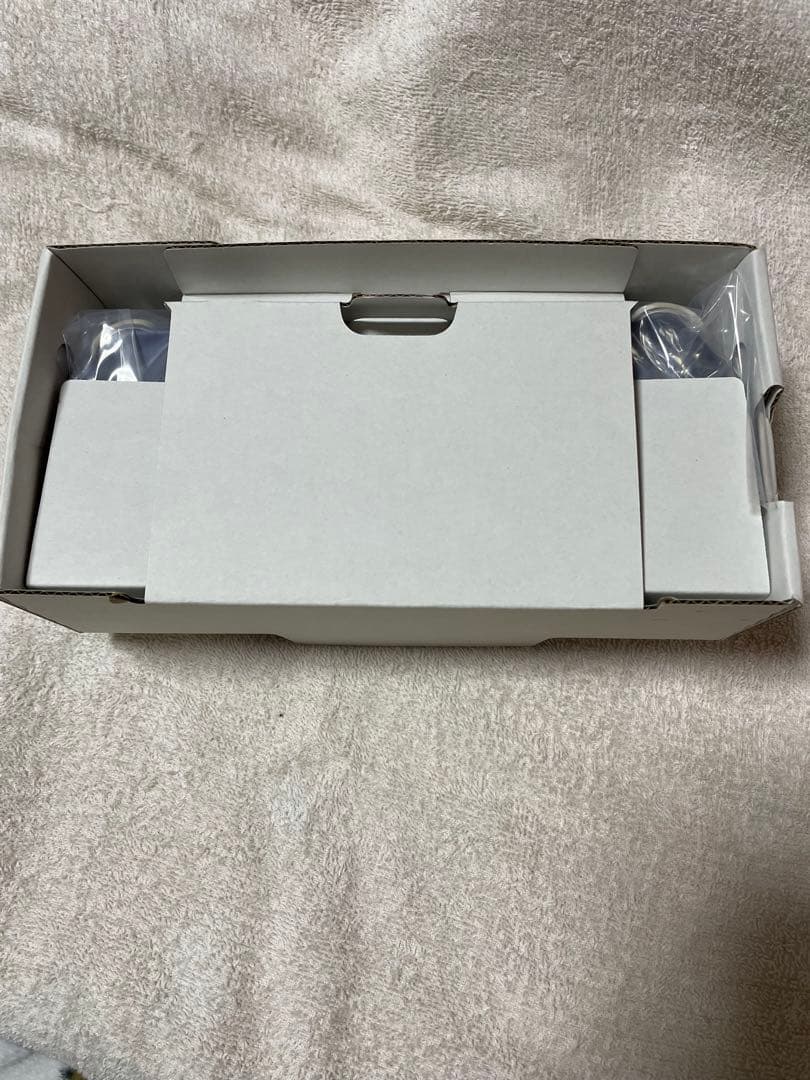 【極美品】Nintendo Switch Lite グレー付属品完備・動作確認済