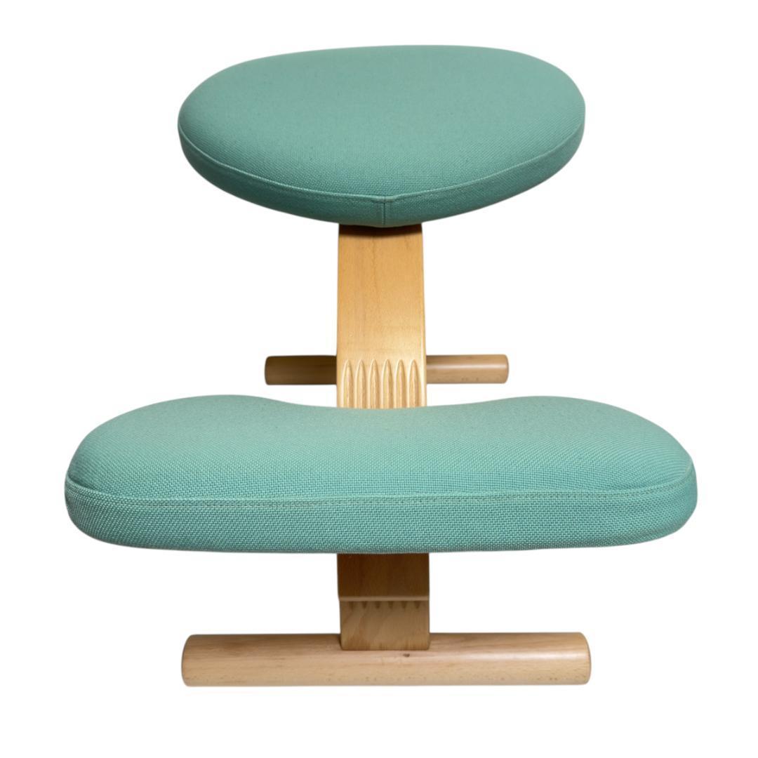 美品　サカモトハウス バランスイージー カバー付き