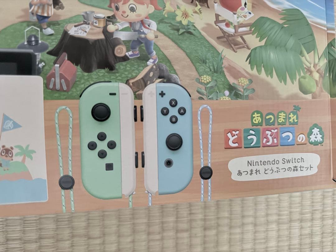 Nintendo Switch どうぶつの森デザイン 限定品　　本体