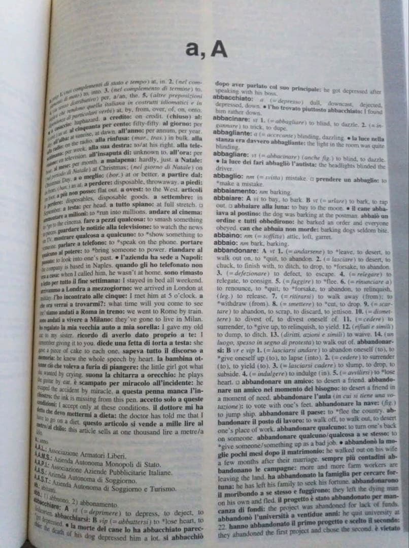 Language & Business 辞書 ZANICHELLI