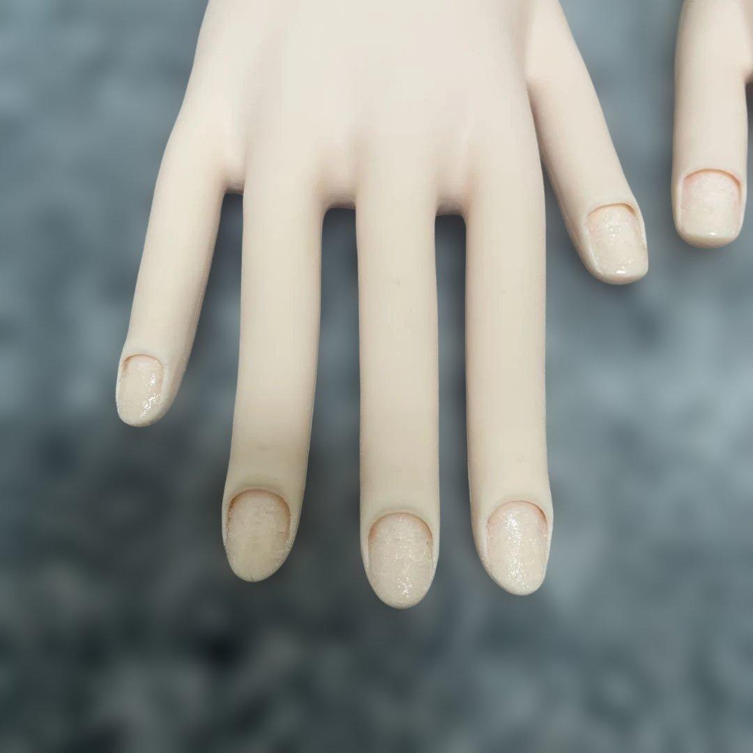 ネイリスト技能検定試験用JNEC認定モデルハンドセット