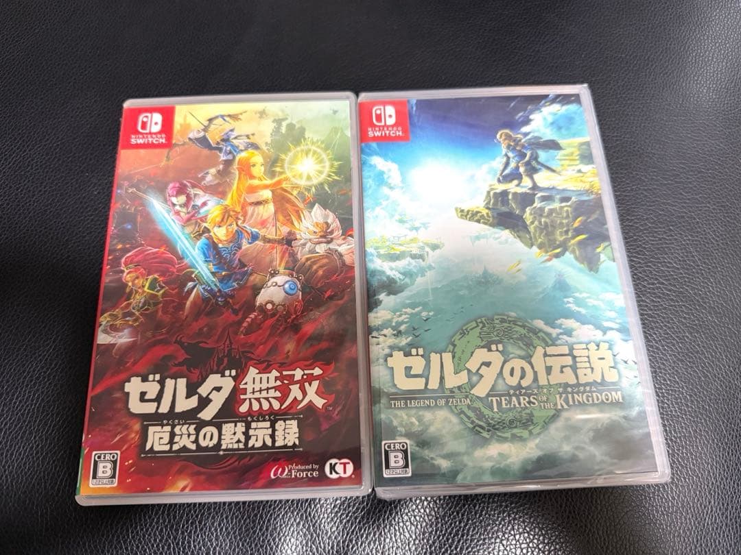 ゼルダの伝説 ティアーズオブザキングダム　ゼルダ無双厄災の黙示録