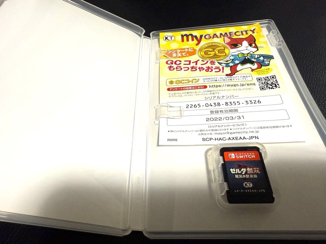 ゼルダの伝説 ティアーズオブザキングダム　ゼルダ無双厄災の黙示録