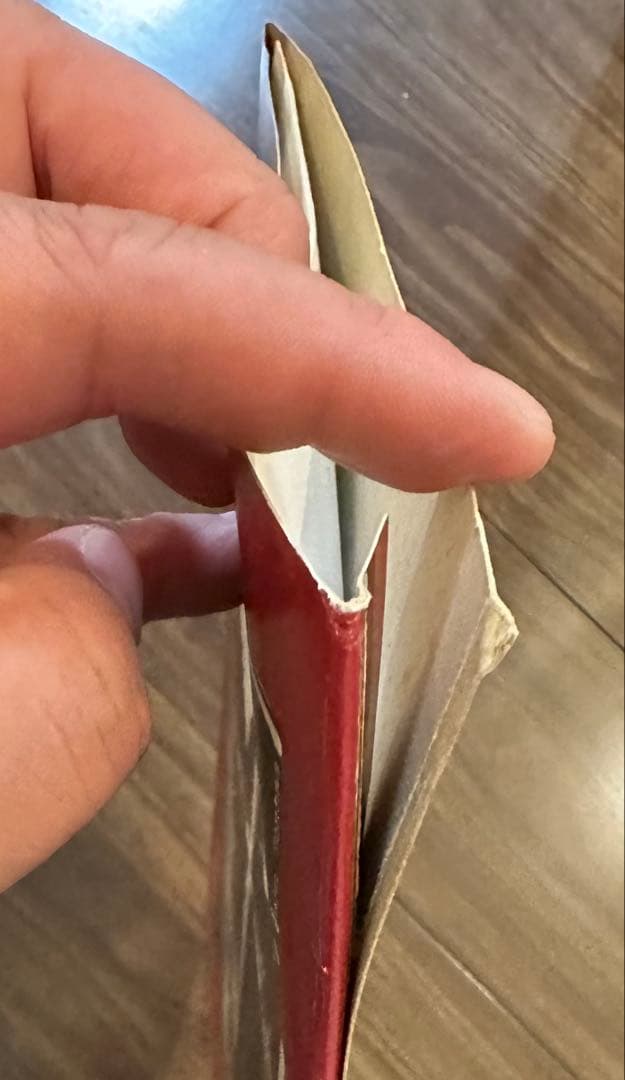 Led Zeppelin You Shook Me ライブレコード