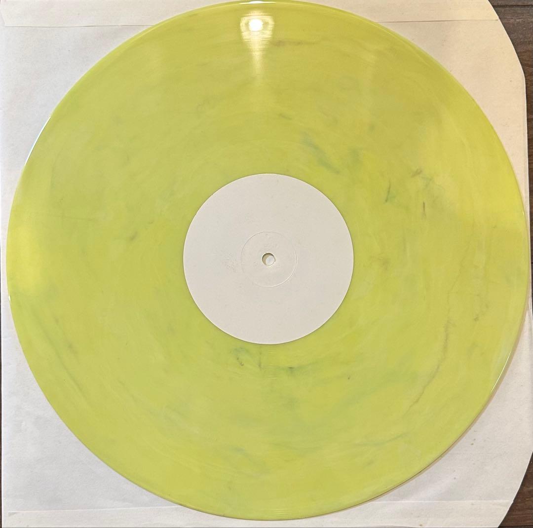 Led Zeppelin You Shook Me ライブレコード