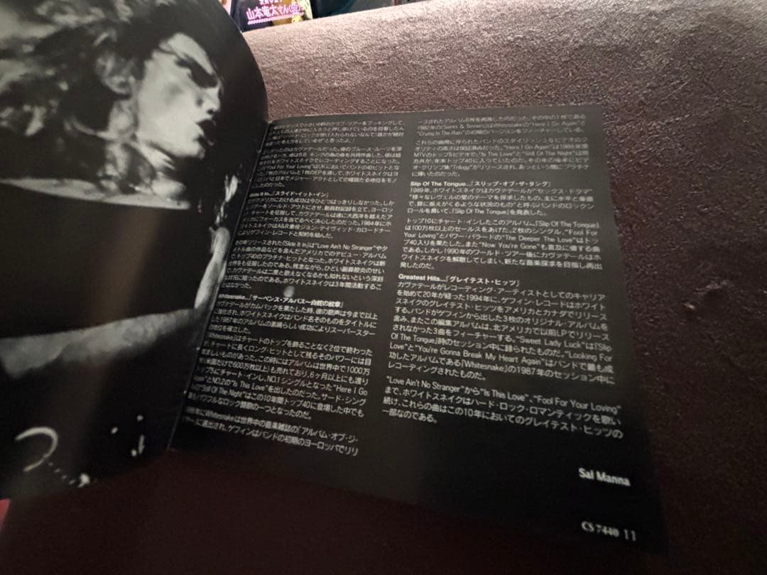 デイヴィッド・カヴァデールとスティーヴ・ヴァイ　サインcd whitesnake