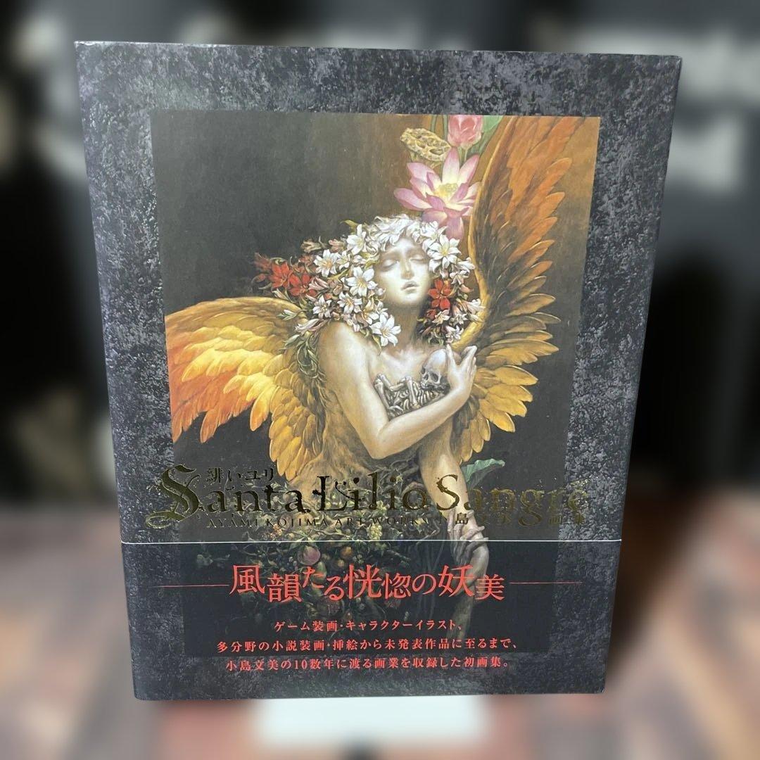 Santa Lilio Sangre緋いユリ : 小島文美画集