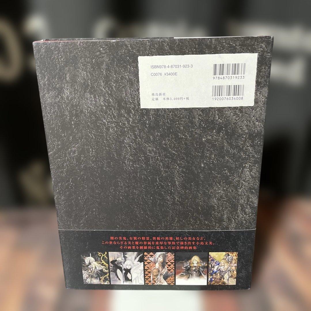 Santa Lilio Sangre緋いユリ : 小島文美画集