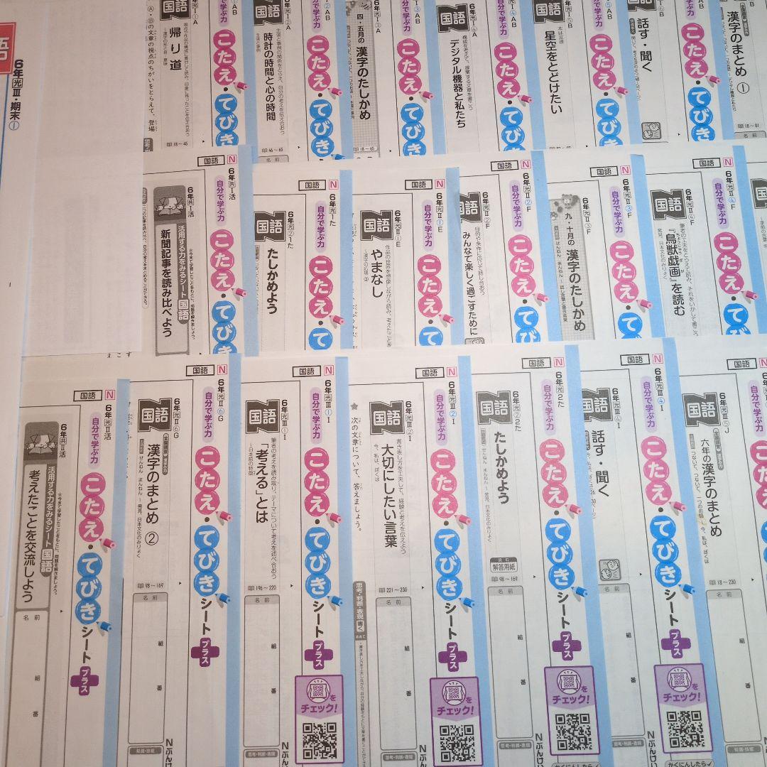 ぶんけい　カラーテスト　小6 国語　光村図書　6年生 Nぶんけい