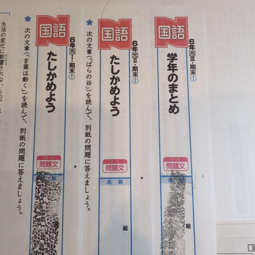 ぶんけい　カラーテスト　小6 国語　光村図書　6年生 Nぶんけい