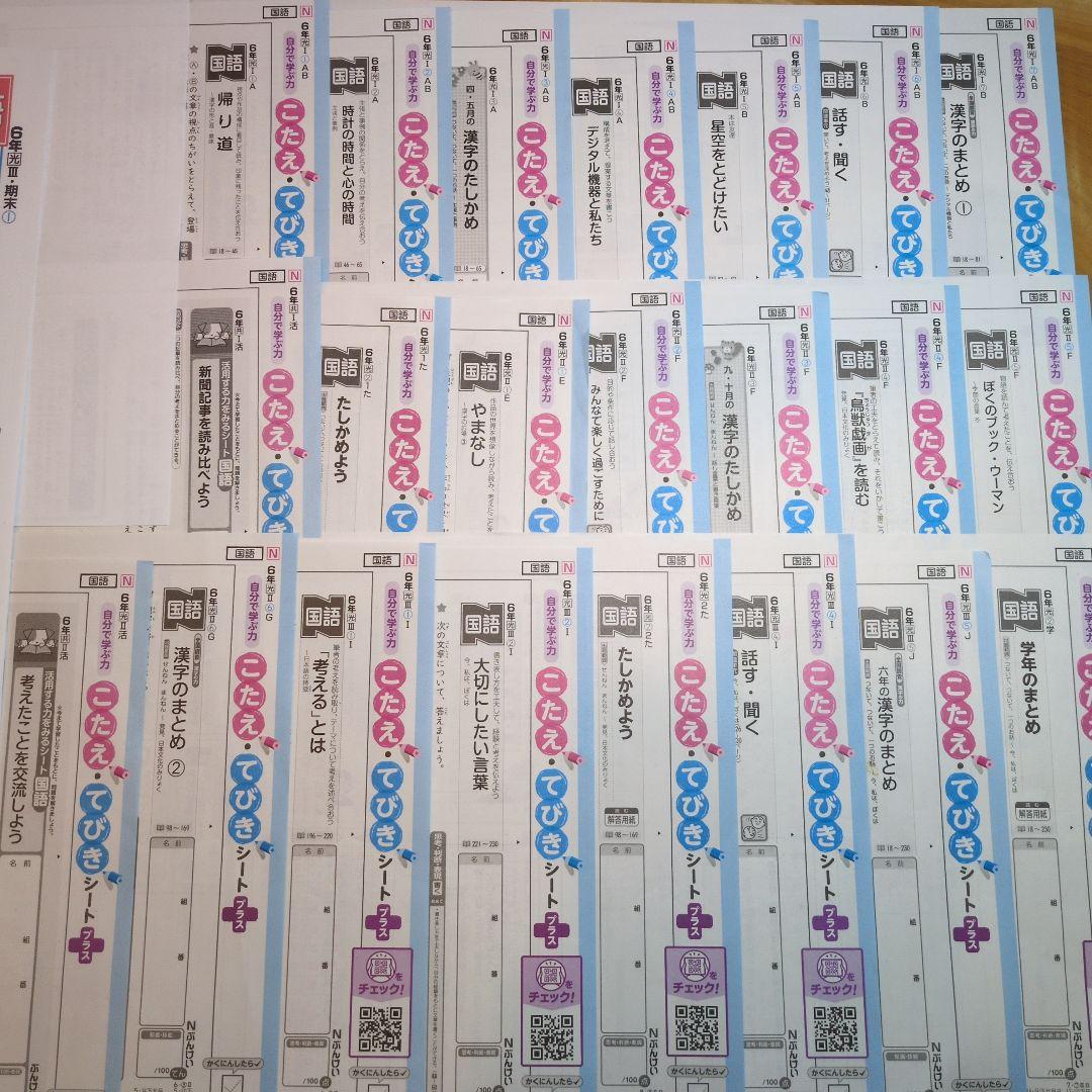 ぶんけい　カラーテスト　小6 国語　光村図書　6年生 Nぶんけい