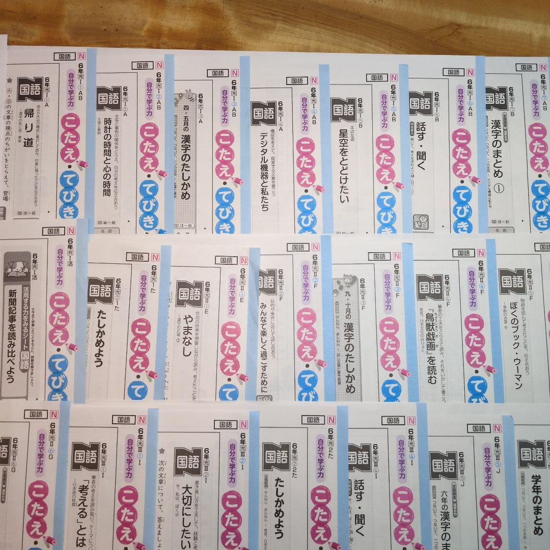 ぶんけい　カラーテスト　小6 国語　光村図書　6年生 Nぶんけい