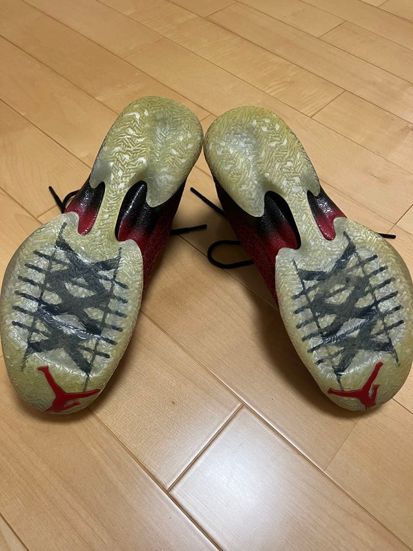 NIKE AIR JORDAN XXX（30） サイズ：29cm（US 11）