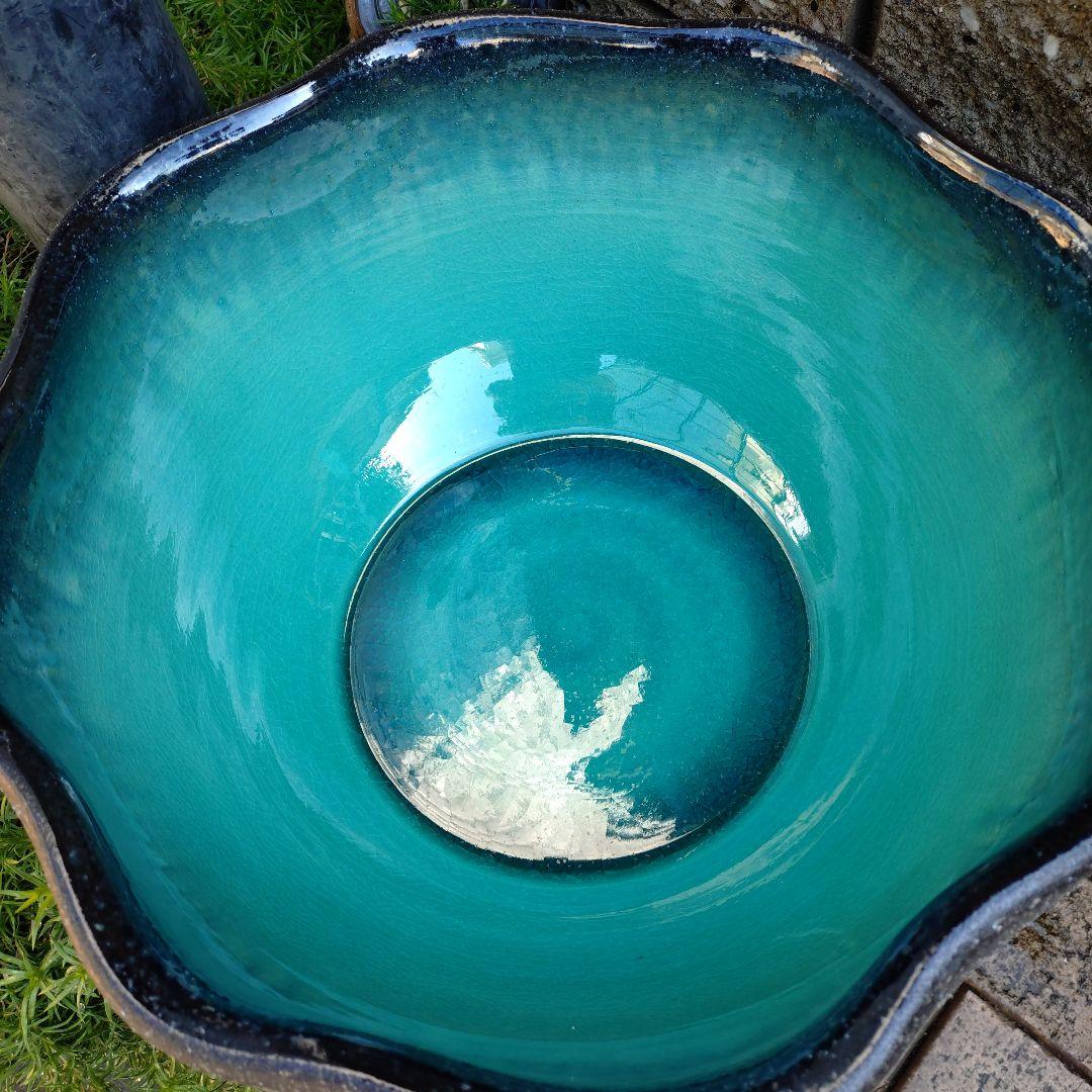 信楽焼　陶器　めだか鉢　睡蓮鉢　グリーン(大)37cm