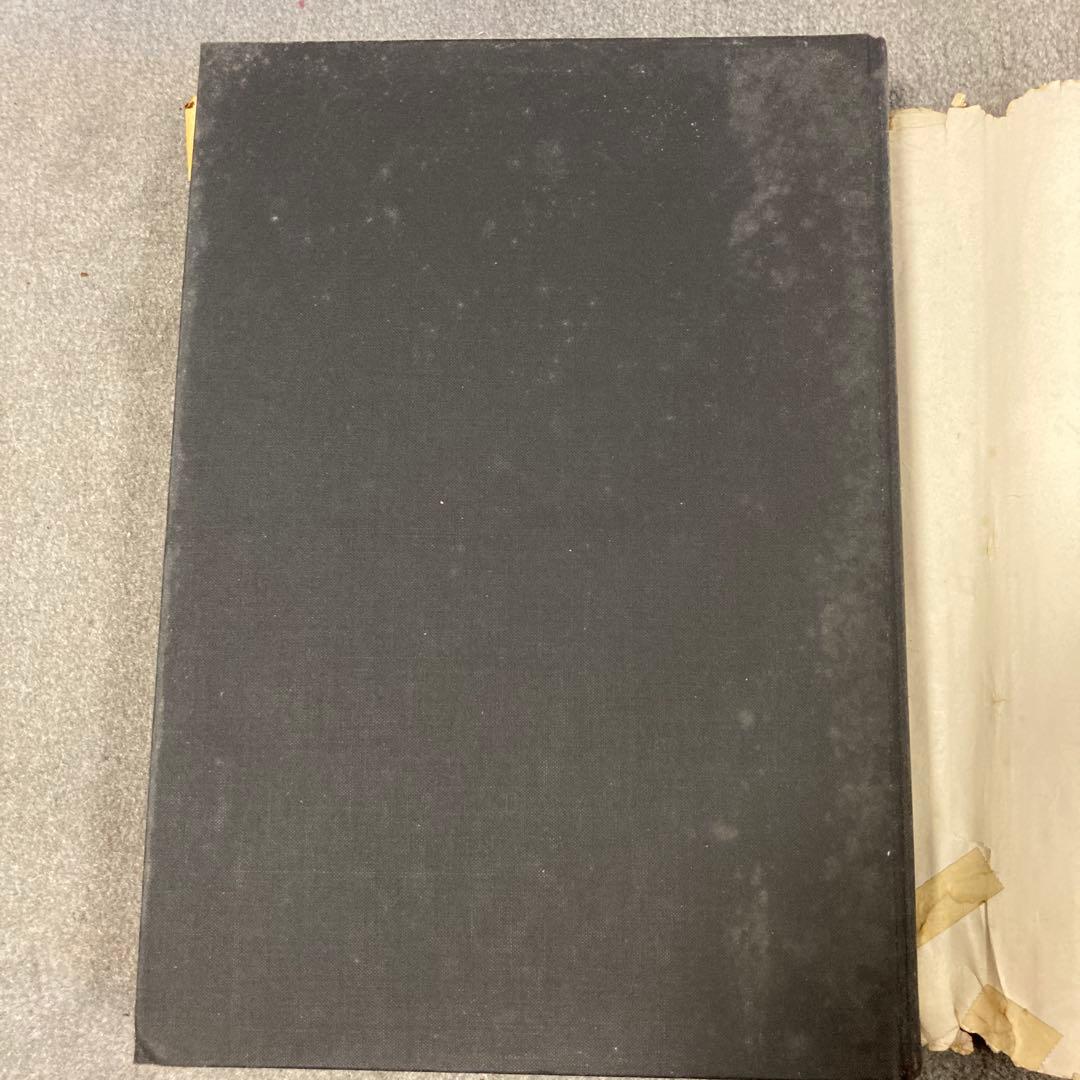 アート・デザイン・音楽 Carl Flesch: Violin Fingering