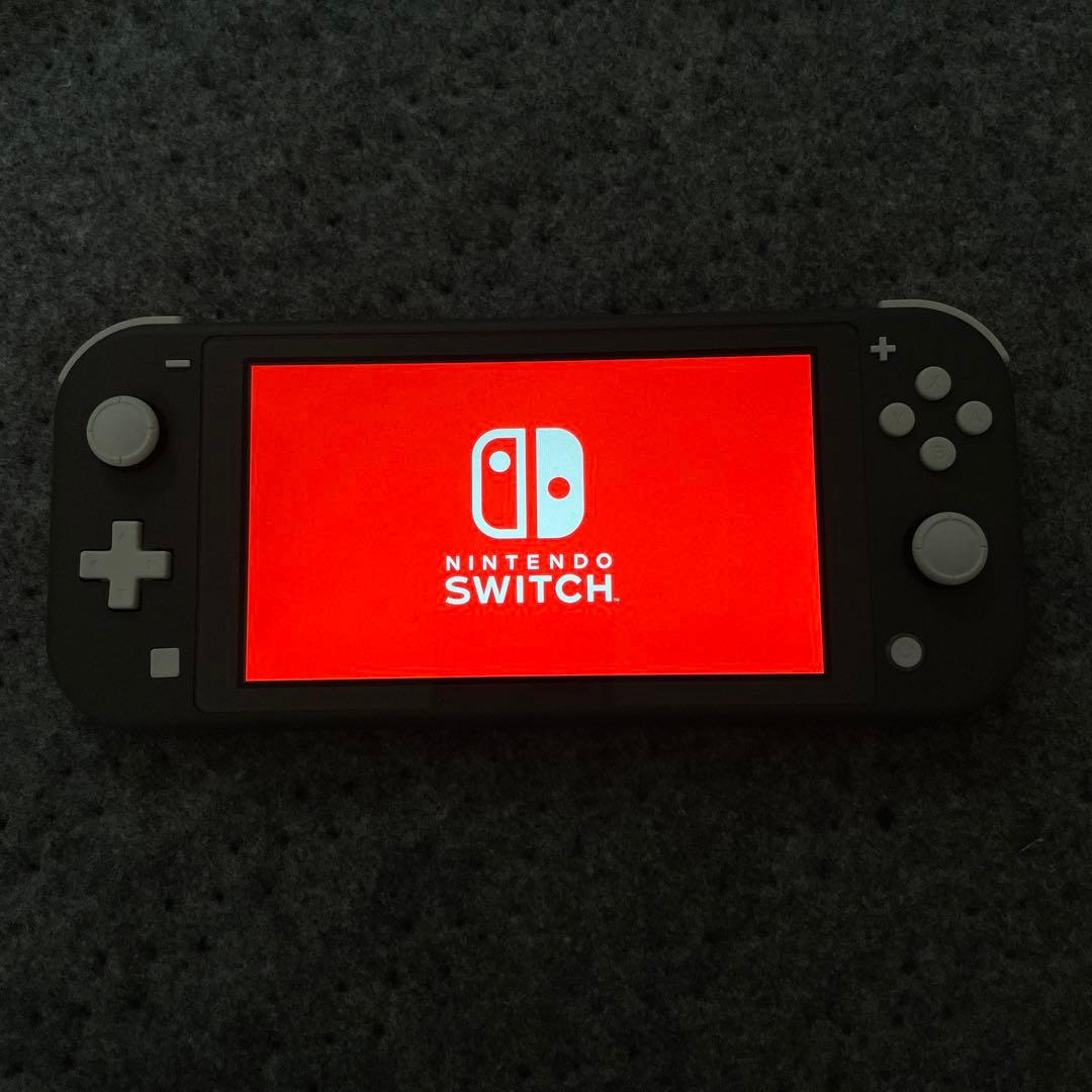 Nintendo Switch Lite 本体　付属品　セット