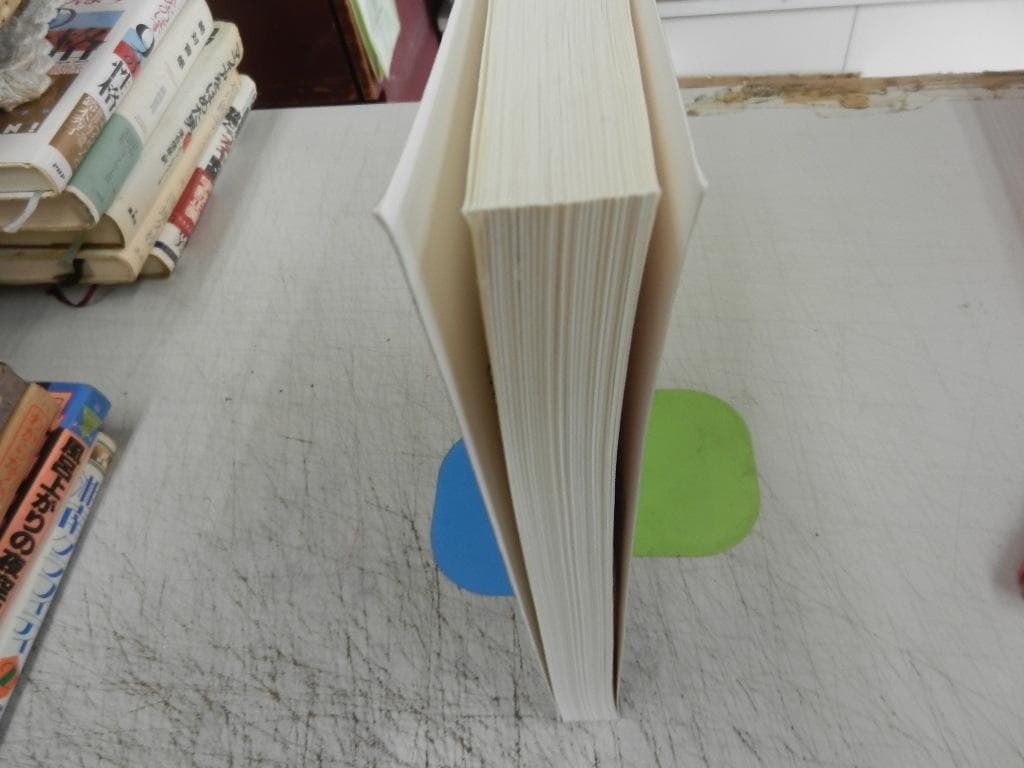 洋書＜GeoEcology＞【SOIL HYDROLOGY】＜土壌の水分動態＞