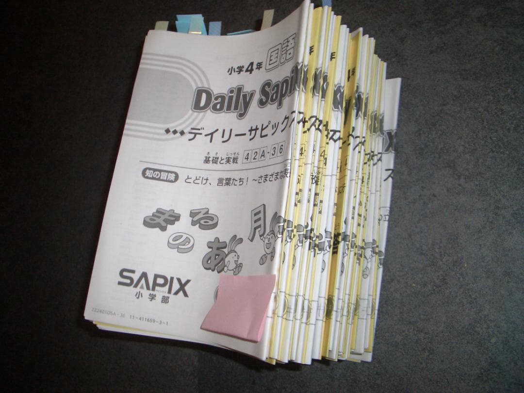 SAPIX 2022年度 4年生　デイリーサピックス　国語　全数セットフルセット