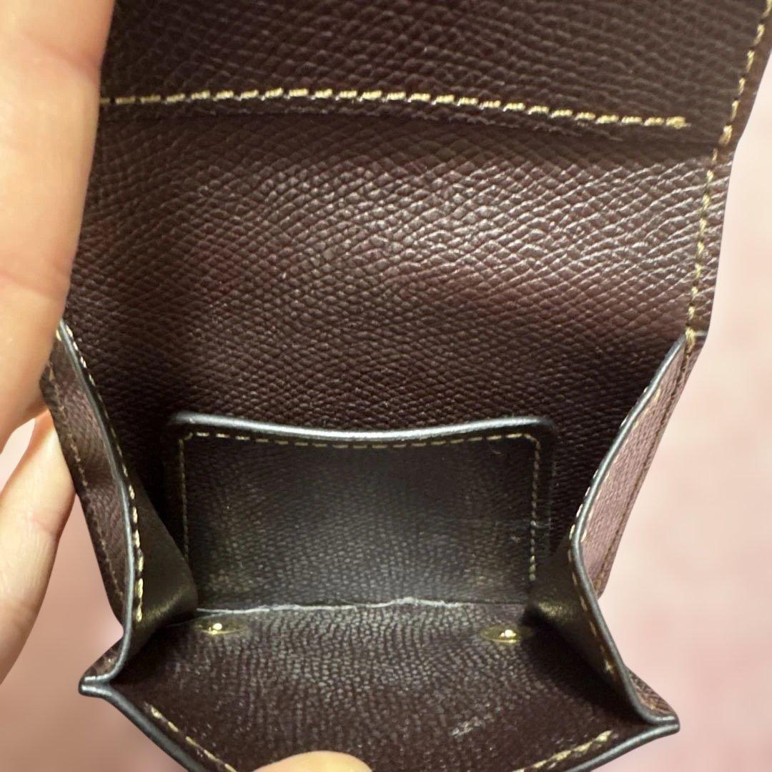 ワイルドスワンズ　PALM V2