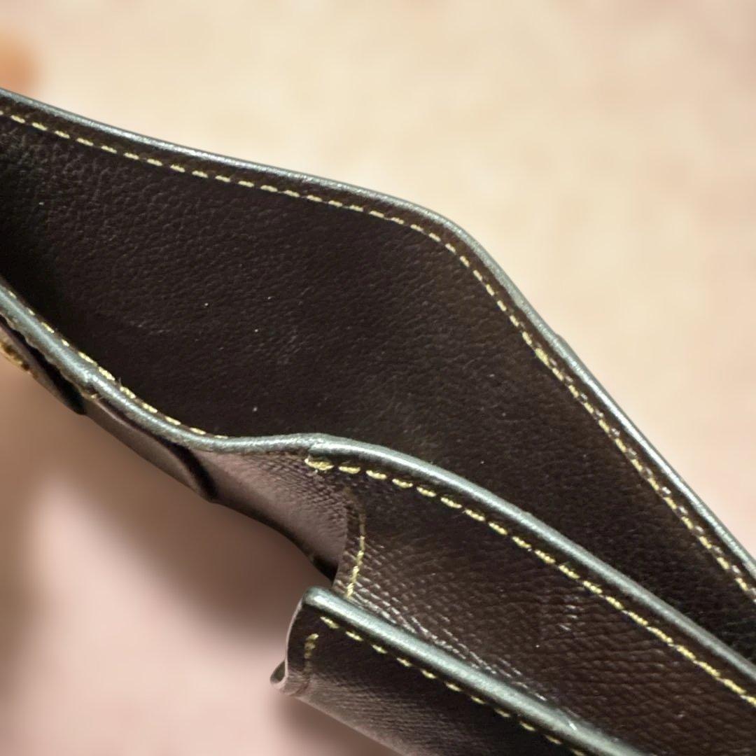 ワイルドスワンズ　PALM V2