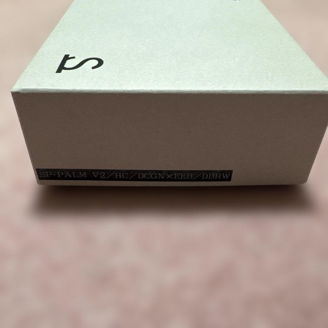 ワイルドスワンズ　PALM V2