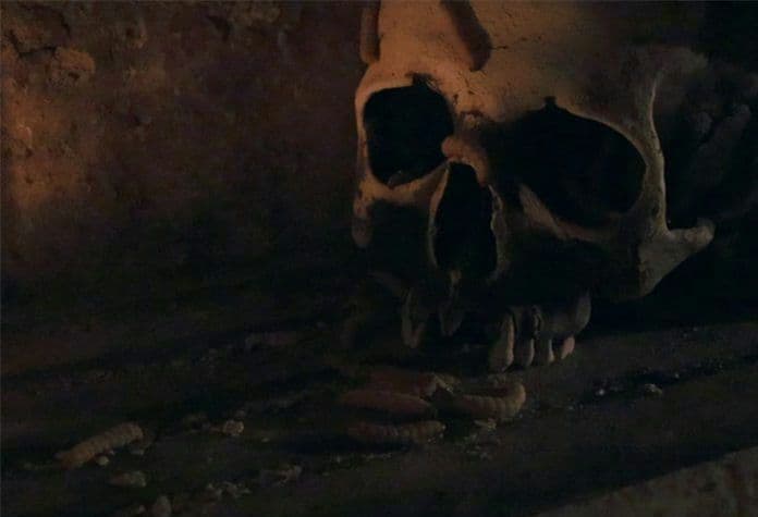 【限定品】ヒルビリー ホロコースト オリジナル完全版 Blu-ray　ホラー